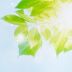 ホームページリニューアルのお知らせ